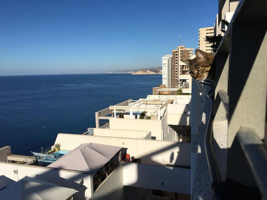 Piso En La Primera Linea Del Mar Con 2 Dormitorios Benidorm Exterior foto